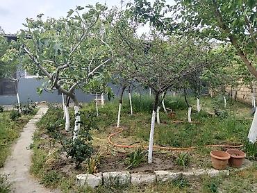 neftçala ev: Sumqayıt, 5000 kv. m, 8 otaq, Hovuzsuz, İnternet, Telefon, Qaz — 1