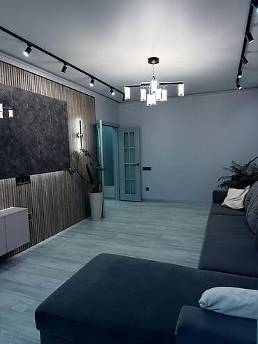 60: 1 комната, 60 м², Молодая Гвардия Индивидуалка, 1 этаж, Дизайнерский ремонт — 8