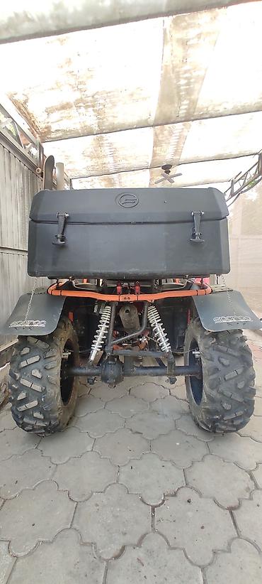 cfmoto купить: Квадроцикл Бензин, 250 куб. см, Взрослый — 5