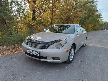 бензавоз портер: Lexus ES: 2004 г., 3.3 л, Автомат, Бензин, Седан