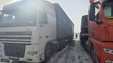 Тягачи: Тягач, DAF, 2006 г., Тентованный — 9