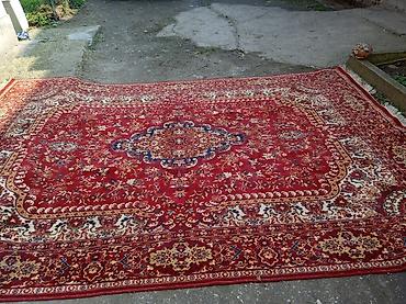 Tepisi i prostirke: Tepih 335 x 240 cm - Veliki klasični orijentalni dizajn - Dominantna — 1