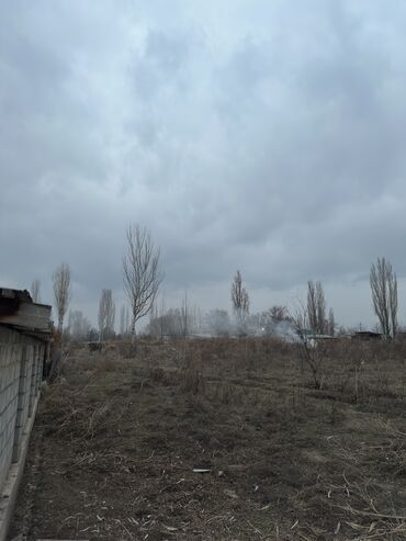 Продажа домов: Дом, 3000 м², 4 комнаты, Собственник, Косметический ремонт — 7