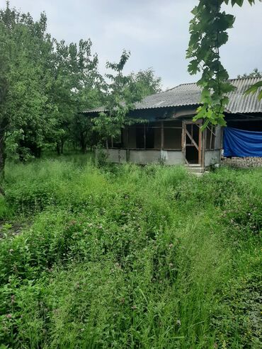 Torpaq sahələrinin satışı: 1 sot