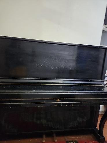 elektron saz: Piano, Belarus, Akustik, İşlənmiş, Ünvandan götürmə — 1