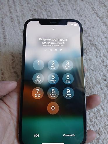Apple iPhone: IPhone 12 Pro, Б/у, 128 ГБ, Графит, Чехол, 88 % — 14