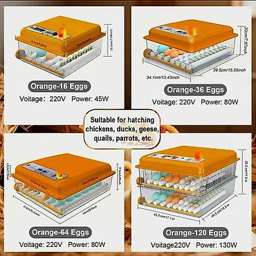 hayvan satış: Yeni tam avtomatik inkubator 120 yumurta.Akumlyator 12V qoşulma — 3