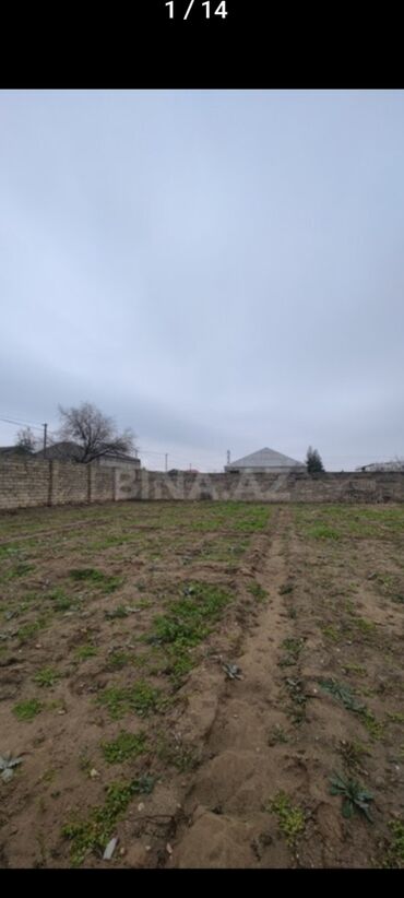 Torpaq sahələrinin satışı: Tikinti, Mülkiyyətçi, Kupça (Çıxarış)