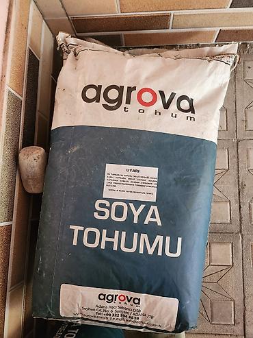 bugda toxumu: Soya toxumu satilir 75 kiloqram — 2