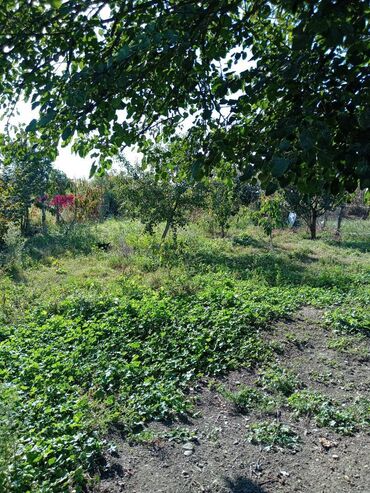 Həyət evləri və villaların satışı: 2 otaqlı, 60 kv. m, Kredit var, Orta təmir — 17