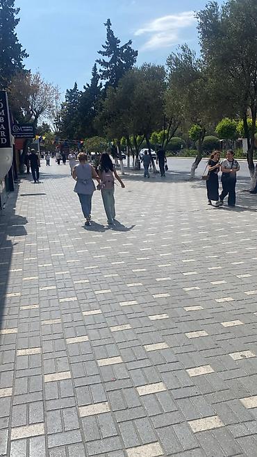 bitki dərmanları satışı: Hazır ətir biznesi satılır maraqlananlar mağazaya yaxınlaşıb ətirlərə — 2