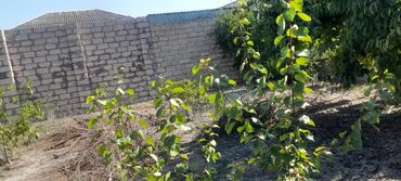 Həyət evləri və villaların satışı: 3 otaqlı, 120 kv. m, Kredit yoxdur, Orta təmir — 8