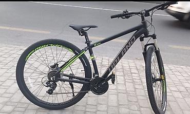 focus velosipedi: UPLAND X-200 dağ velosipedi 29luq. MƏRDƏKAN süvəlan binə 750 manata — 1