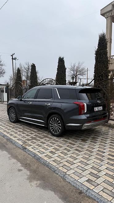 матиз молдинг: Hyundai Palisade: 2023 г., 2.2 л, Автомат, Дизель, Внедорожник — 7