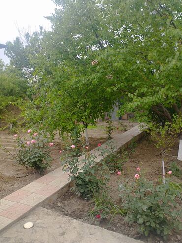 Həyət evləri və villaların satışı: 3 otaqlı, 78 kv. m, Kredit yoxdur, Yeni təmirli -da lalafo.az — 3 Həyət evləri və villaların satışı: 3 otaqlı, 78 kv. m, Kredit yoxdur, Yeni təmirli — 3