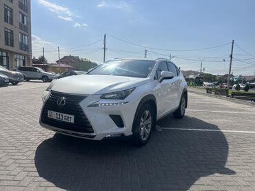 Lexus: Lexus NX: 2017 г., 2 л, Вариатор, Бензин, Кроссовер