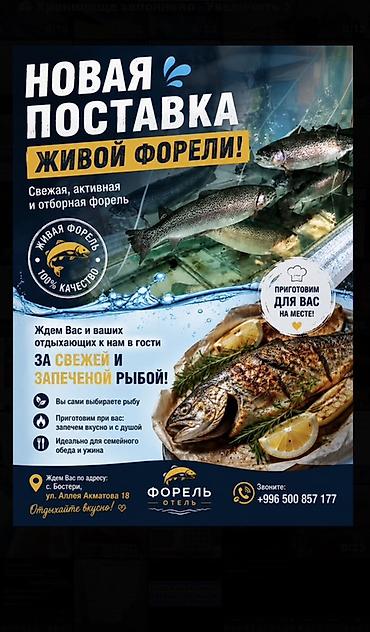 декоративная рыба: Живая и запеченная форель - Новая поставка живой форели: свежая — 2