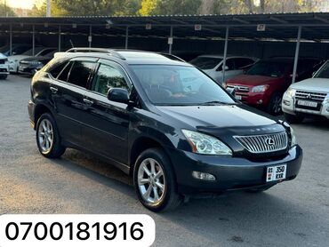 чехол на рх: Lexus RX: 2008 г., 3.5 л, Автомат, Бензин, Внедорожник