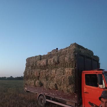спринтер выкуп: Грузовик, Mercedes-Benz, Стандарт, 7 т, Б/у — 2