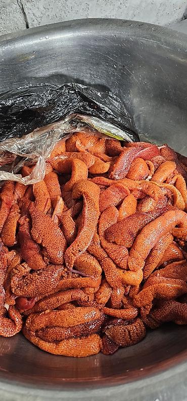 продажа свинины: КУПЛЮ Ястык (икра в ястыках), свежая, крупнозернистая — 1