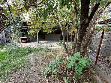 Продажа коттеджей и домов: Продаётся уютный и тёплый дом в самом сердце Бишкека! ЦУМ / ГУМ — — 9