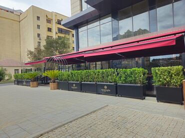 Naveslər, markizlər: Məhsul/Xidmət: Teras və fasad üçün avtomatik tent/pergola sistemləri — 3