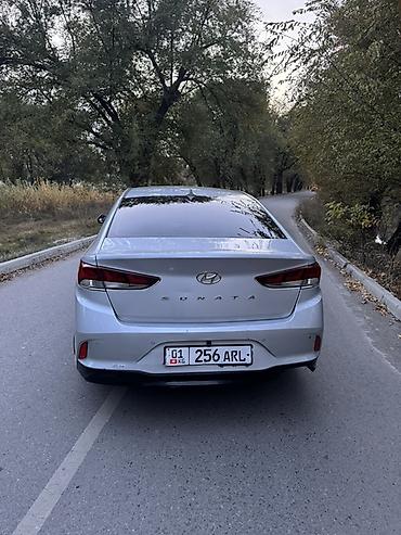 туманик соната: Hyundai Sonata: 2018 г., 2 л, Автомат, Газ, Седан — 5