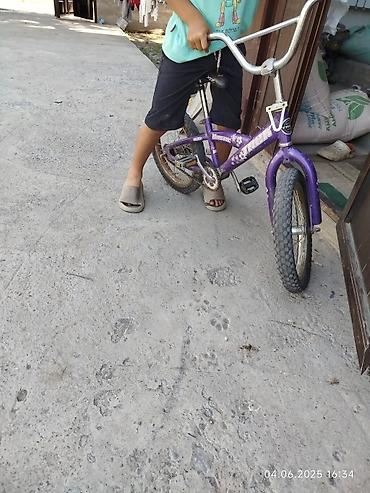 Детские велосипеды: Детский велосипед, 2-колесный, 4 - 6 лет — 1