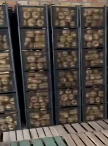 Ящики: Пластиковый Ящик — 19