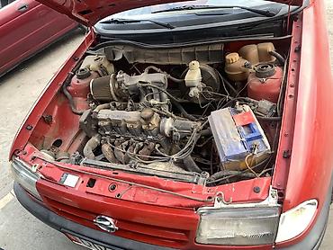 opel astra f: Opel Astra: 1992 г., 1.6 л, Механика, Бензин, Универсал — 2