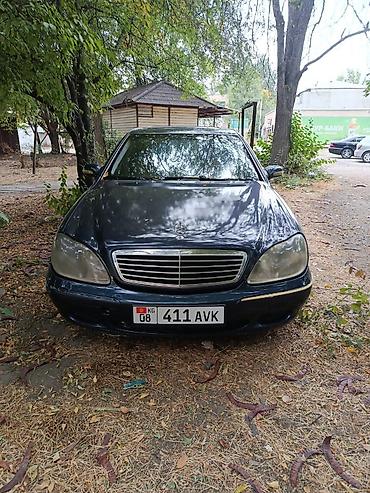 кабан 140: Mercedes-Benz S-Class: 2001 г., 5 л, Автомат, Бензин, Седан — 2