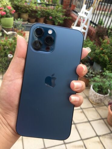 1000 сомдук телефон: IPhone 12 Pro, Колдонулган, 256 ГБ, Көк, Коргоочу айнек, Каптама, 77 %