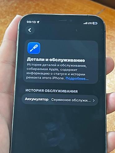 Apple iPhone: IPhone 12 Pro, 77 % — 6