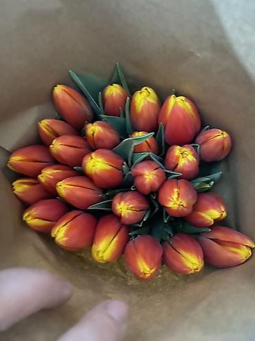Букеты из живых цветов: Тюльпаны к 8 Марта — опт и розница. - Свежесрезанные тюльпаны разных — 19