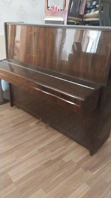 Pianolar: Akustik pianino – şaquli model - Korpus: parlaq laklı tünd qoz rəngli — 5