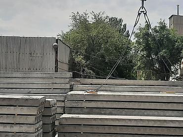 белый лук: Больше 6 лет опыта — 4