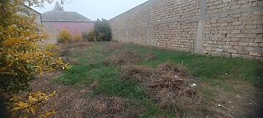 torpaq saray: 3 sot, Tikinti, Mülkiyyətçi, Kupça (Çıxarış) — 7
