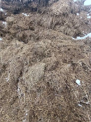 Корма для с/х животных: Кукурузный силос 7 сом + доставка сенаж 8000 сом + доставка качества — 4