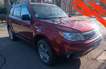 грузовой ошейник: Subaru Forester: 2008 г., 2.5 л, Автомат, Газ, Кроссовер