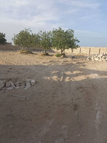 Torpaq sahələrinin satışı: 18 sot, Tikinti, Makler, Bələdiyyə — 2