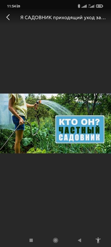 ищу садовника в Кыргызстан | ДВОРНИКИ, САДОВНИКИ: Я садовник приходящий уход за садом раз в неделю стрижки газона туи