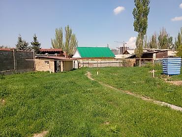 Жер тилкелери: 11 соток, Курулуш, Кызыл китеп — 5