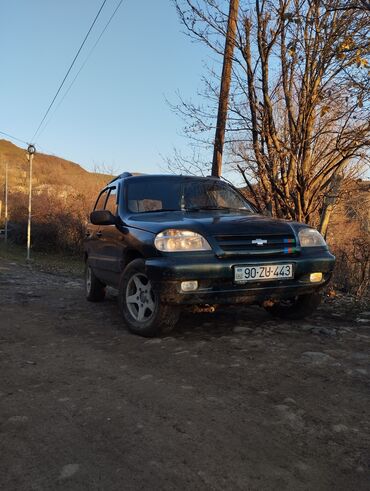 Avtomobil satışı: Chevrolet Niva: 1.7 l | 2005 il 274589 km Universal