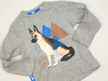 bielizna termoaktywna wełna: Sweatshirt, 3-4 years, 98-104 cm, condition - Perfect