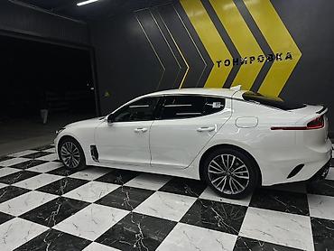 gac aion i60 ev: Kia Stinger: 2019 г., 2 л, Автомат, Бензин, Фастбек — 3