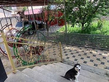 от 1 месяца: 🏠 One Room Available for Rent – For Indian Students A room is — 9