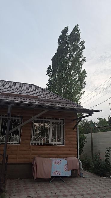 Продажа дачи: Продаётся прекрасный, цветущий, благоустроенный загородный дом с — 25