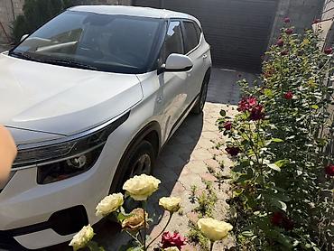 кия селтес: Kia Seltos: 2021 г., 1.6 л, Автомат, Дизель, Кроссовер — 2