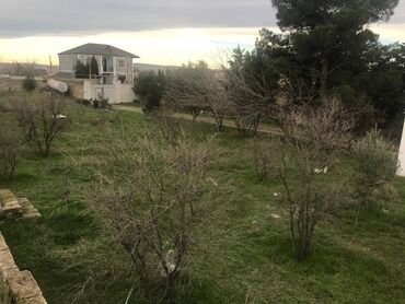 Torpaq sahələrinin satışı: 30 sot, Makler, Kupça (Çıxarış) — 12