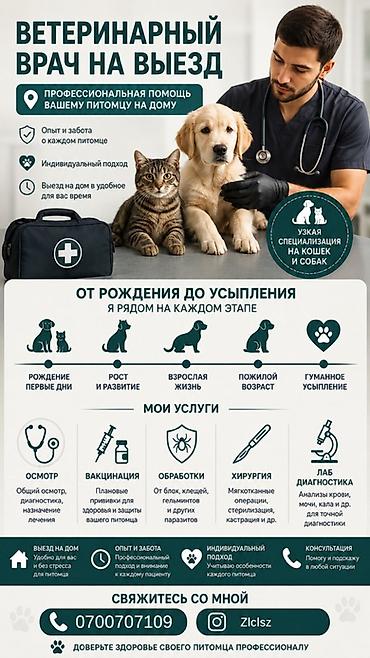 от клещей: 🐾 Ветеринарный врач на выезд | Кошки и собаки 🏡 Профессиональная — 1